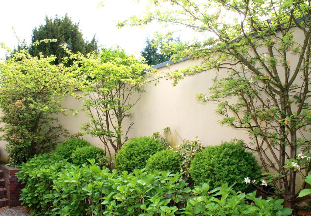 Venusberghotel Bonn Eksteriør billede